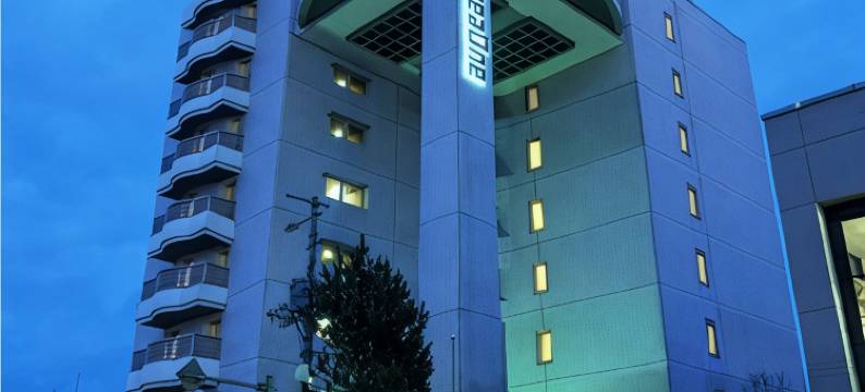 AreaOne酒店-带广(Hotel AreaOne Obihiro)图片