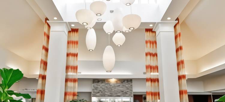 坦帕北希尔顿花园酒店(Hilton Garden Inn Tampa North)图片