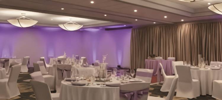 里士满希尔顿安泊酒店(Embassy Suites by Hilton Richmond)图片