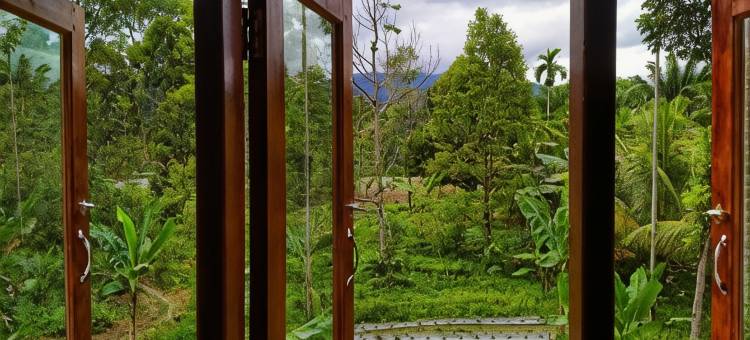 Sumatra Orangutan Discovery Villa图片