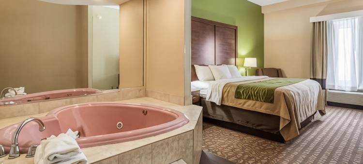 舒适酒店及套房-巴拿马城北部(Comfort Inn & Suites Panama City North)图片