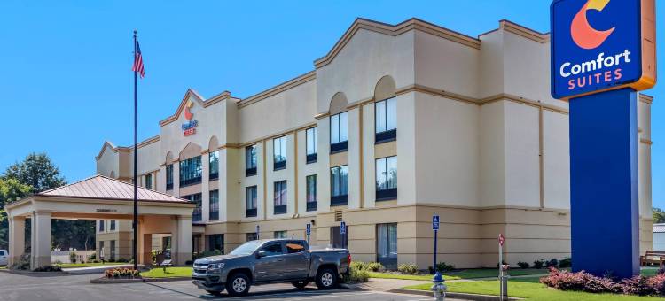 伍德斯托克舒适套房酒店- 亚特兰大北(Comfort Suites Woodstock - Atlanta North)图片