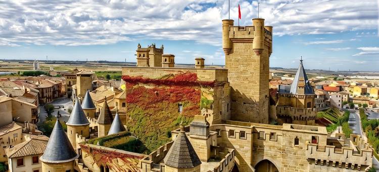 欧利特旅馆(Parador de Olite)图片