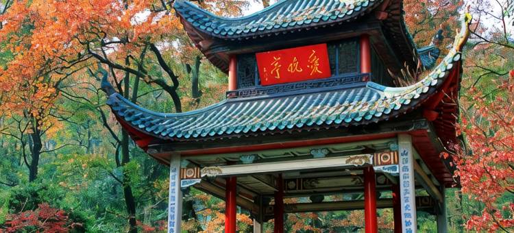 白玉兰酒店(长沙橘子洲景区五一广场地铁站店)图片