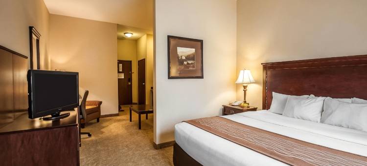 麦克明维尔酒乡舒适套房酒店(Comfort Inn & Suites McMinnville Wine Country)图片