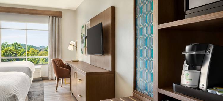 Holiday Inn 伯明翰 - 胡佛(Holiday Inn BIRMINGHAM - HOOVER by IHG)图片