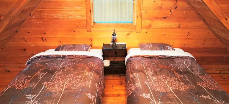 Private Cabin-Perfect for families, large groups!图片