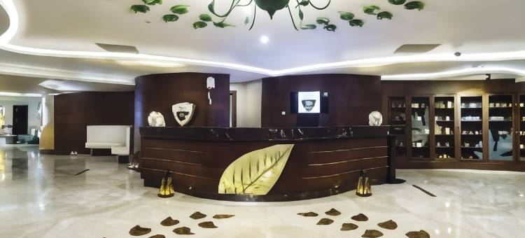 梅里特皇家尊享酒店(Merit Royal Premium Hotel)图片