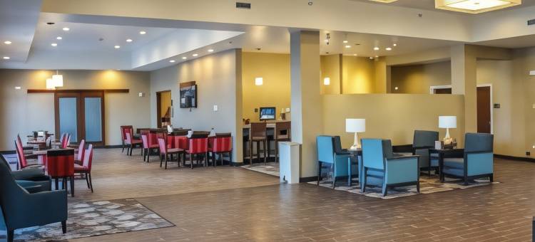 舒适套房酒店-大学(Comfort Suites University Brookings)图片