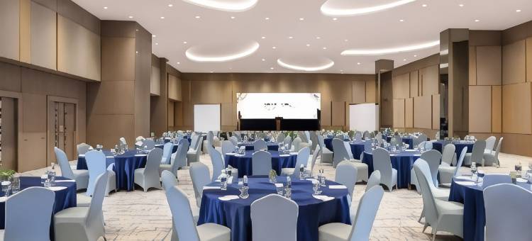 金色郁金香酒店春山-楠榜(Golden Tulip SpringHill Lampung)图片