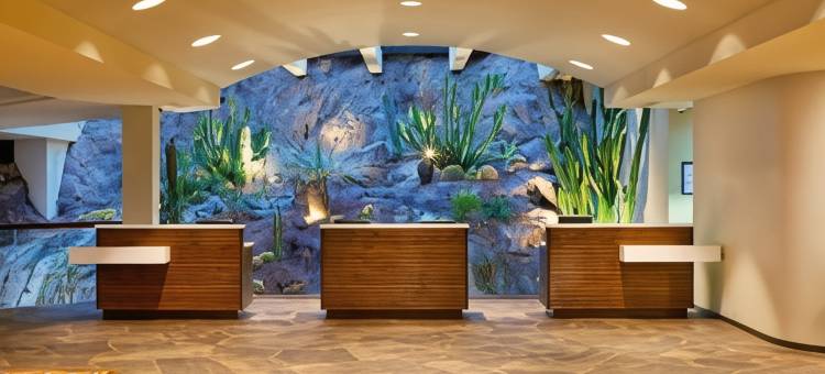 坦佩巴特斯菲尼克斯万豪度假村(Marriott Phoenix Resort Tempe at the Buttes)图片