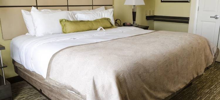 Candlewood Suites 孟菲斯 - 南海文by IHG(Candlewood Suites Memphis - Southaven by IHG)图片