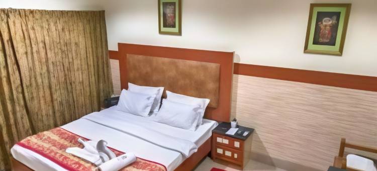 阿雅斯酒店(Hotel Aryaas)图片