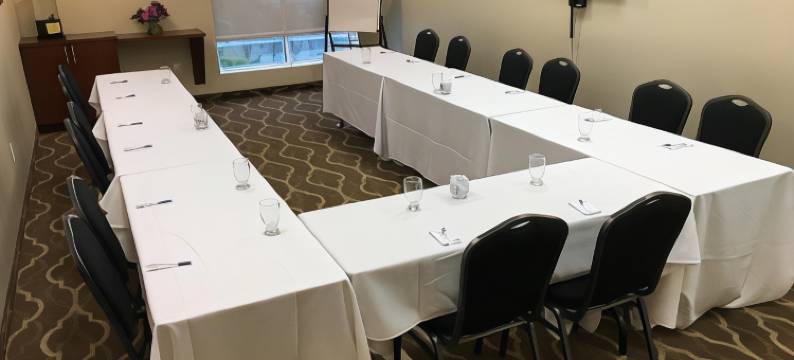 舒适套房酒店(Comfort Inn & Suites)图片