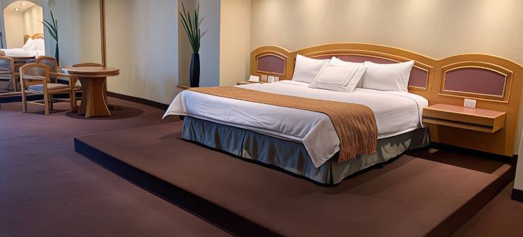海市蜃楼酒店(Hotel Mirage - Centro Histórico de Querétaro)图片