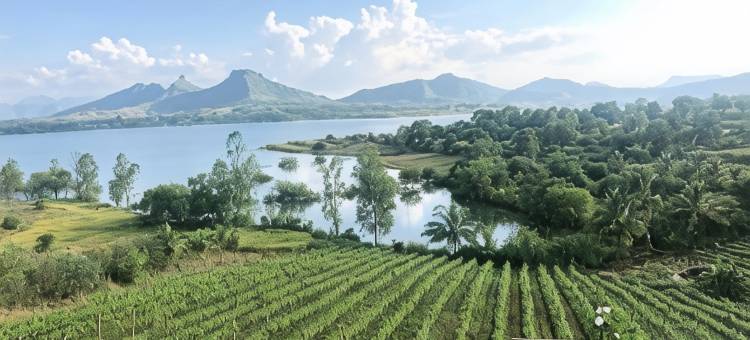 瓦隆葡萄园酒店(Vallonne Vineyards)图片
