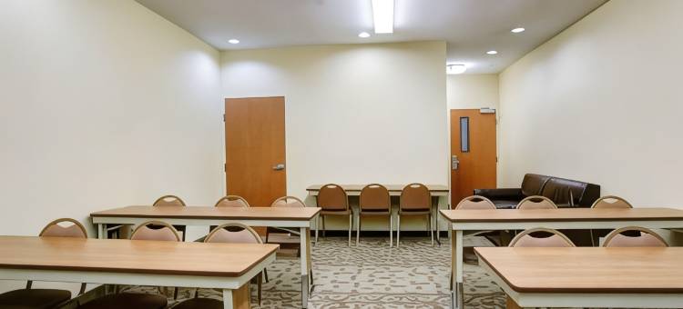 布伦纳姆舒适全套房酒店(Comfort Suites)图片