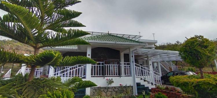 顶峰民宿(The Summit Homestay)图片