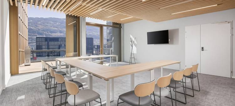 锡永智选假日套房酒店(Holiday Inn Express & Suites SION by IHG)图片