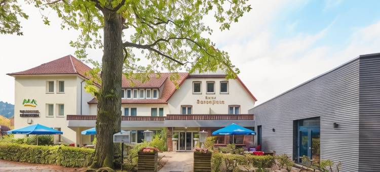 瓦尔德酒店熊石(Waldhotel Bärenstein)图片