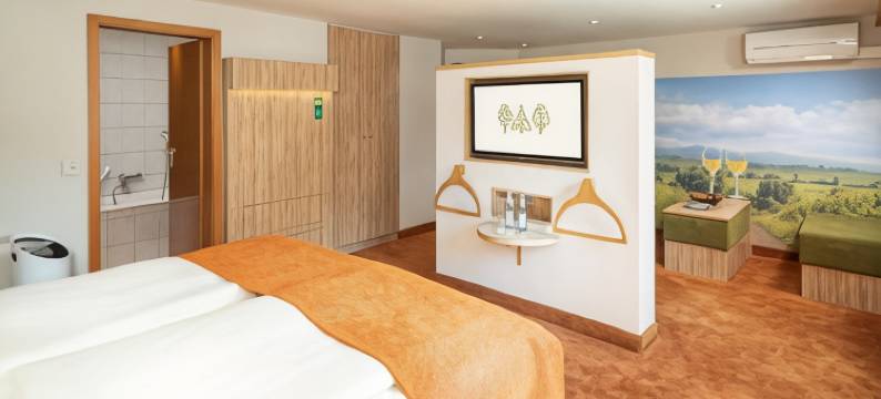 朗达公园酒店(Parkhotel Landau)图片