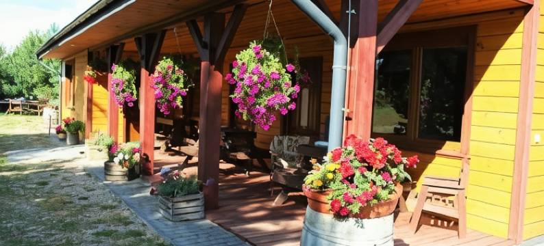 Farmstay Marianowka u Tesi图片