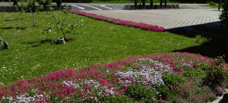 勒法特私人住宅(Private Home Rifat)图片