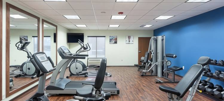 舒适套房酒店(Comfort Inn & Suites Zachary)图片