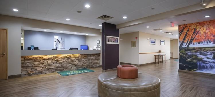 布恩 - 大学区凯艺套房酒店(Quality Inn & Suites Boone - University Area)图片