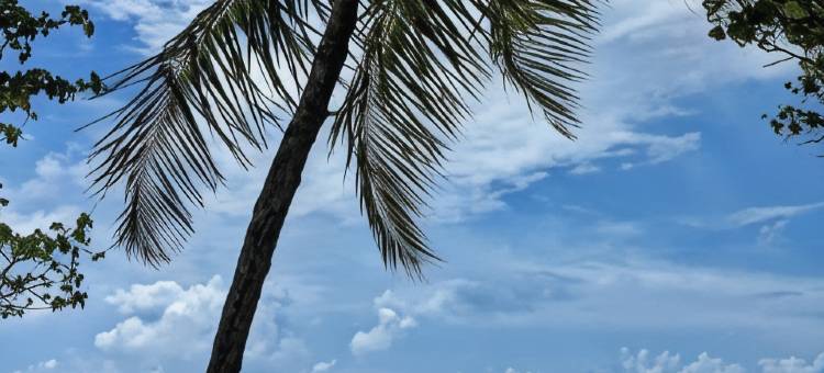 图鲁斯杜多阿迪度假酒店(Dhoadhi Retreat Thulusdhoo)图片