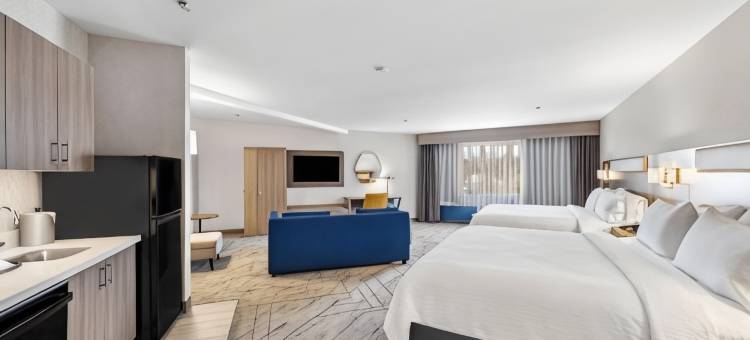 Holiday Inn Express 圣地亚哥 - 拉梅萨(Holiday Inn Express la Mesa Near Sdsu)图片