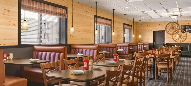 福尔斯维尤戴斯酒店(Days Inn by Wyndham Fallsview)图片