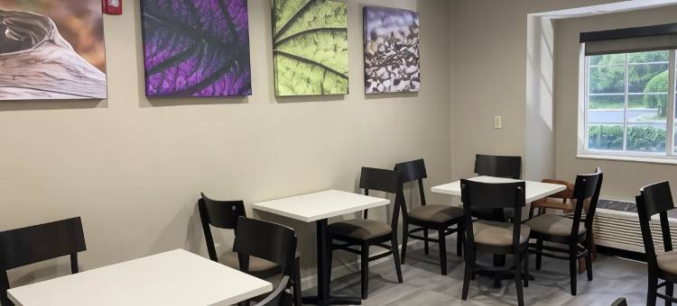 杰克逊维尔机场舒眠酒店(Sleep Inn Jacksonville Airport)图片