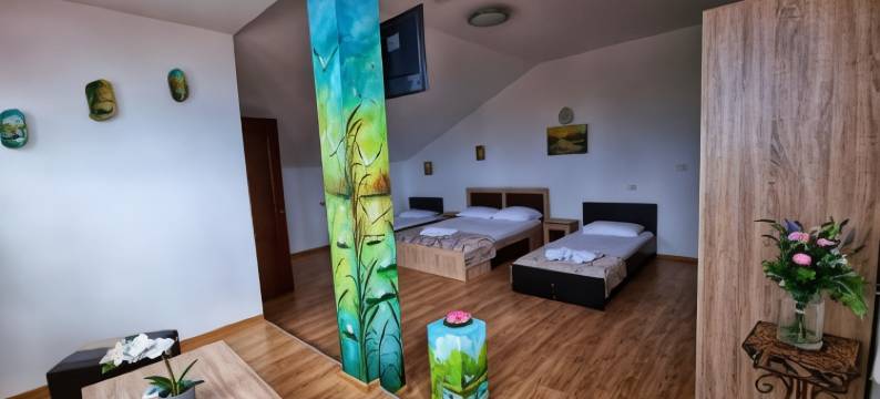 Pensiunea Casa Harly图片