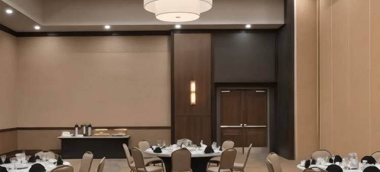 芝加哥内帕维希尔顿安泊酒店(Embassy Suites by Hilton Chicago Naperville)图片