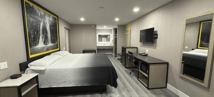 维塞利亚速8酒店(Super 8 by Wyndham Visalia)图片