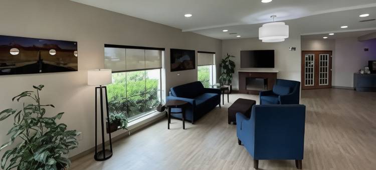 舒适套房酒店海洋世界-Lackland AFB(Comfort Suites SeaWorld - Lackland AFB)图片
