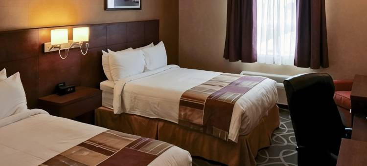 凯艺套房酒店(Quality Hotel & Suites)图片