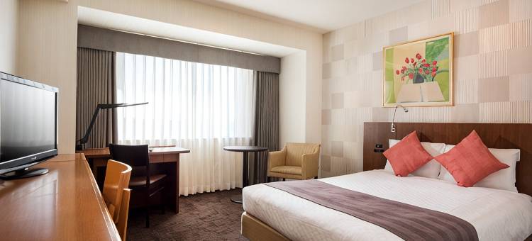 丰桥洛希尔酒店(Loisir Hotel Toyohashi)图片