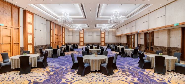 艾哈迈达巴德Hyatt酒店(Hyatt Ahmedabad)图片