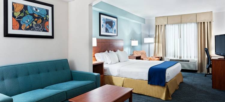 里士满-布莱德米尔-赫尔街智选假日酒店(Holiday Inn Express & Suites RICHMOND-BRANDERMILL-HULL ST. by IHG)图片