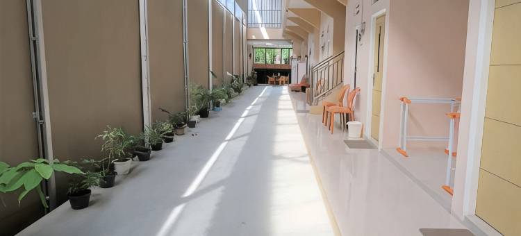 Daile Homestay图片