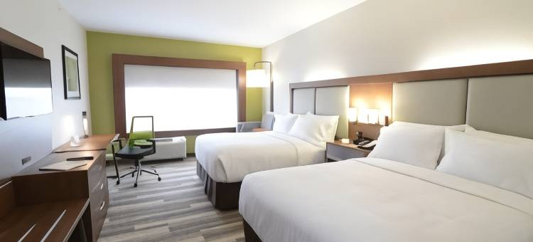 芝加哥北岸尼尔斯智选假日套房酒店(Holiday Inn Express & Suites CHICAGO NORTH SHORE - NILES by IHG)图片