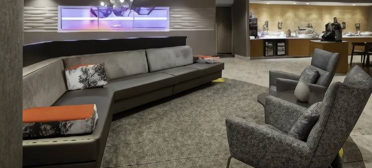 辛辛那提北部/福里斯特帕克 SpringHill Suites酒店(SpringHill Suites Cincinnati North/Forest Park)图片