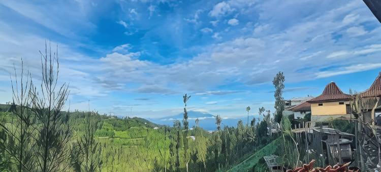布罗莫英达乐斯塔里民宿-美特拉-RedDoorz(Bromo Indah Lestari Homestay Mitra RedDoorz)图片