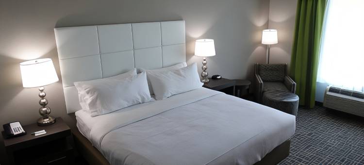 Holiday Inn 卡温顿的东南亚(Holiday Inn Covington)图片