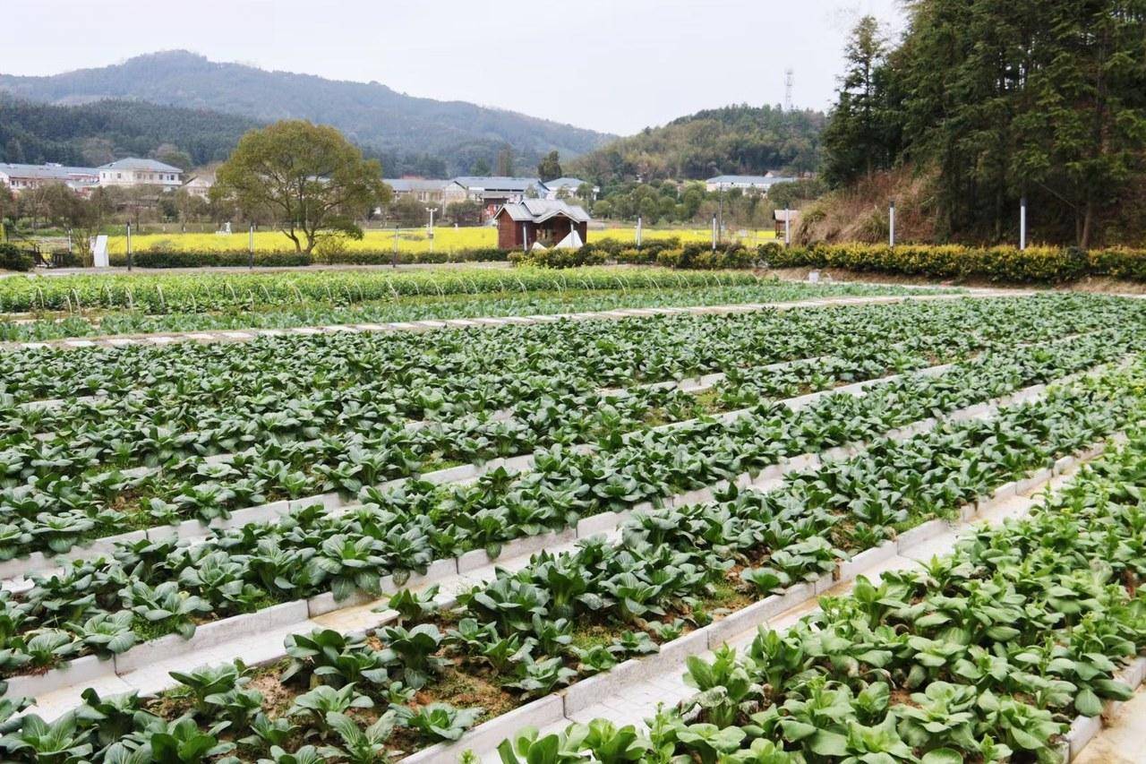 携程度假农庄(地球仓新余联营店)图片