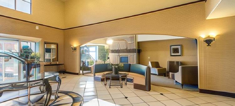 舒适套房(Comfort Inn & Suites)图片