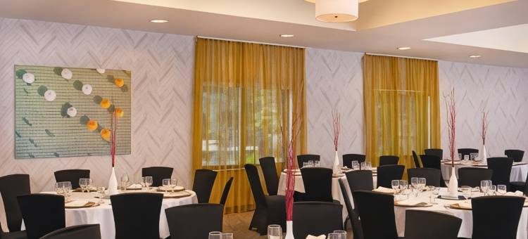 切萨皮克绿蔷薇SpringHill套房(SpringHill Suites Chesapeake Greenbrier)图片