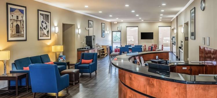 舒适套房酒店-近德州大学(Comfort Suites Near Texas State University)图片